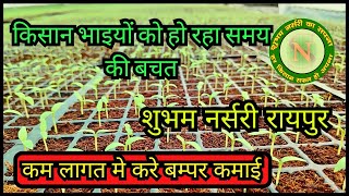 कम लागत मे करे बम्पर कमाई  किसानो को समय की बचत शुभम नर्सरी रायपुर  grafting farming [upl. by Grewitz]