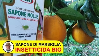 SAPONE POTASSICO IL VERO SAPONE DI MARSIGLIA [upl. by Atnoled]