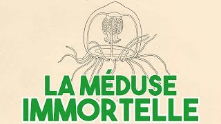 La méduse immortelle [upl. by Uranie]