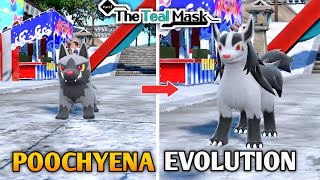 Poochyena Evolves Into Mightyena Animation In Pokemon Scarlet amp Violet DLC  The Teal Mask [upl. by Ivar]