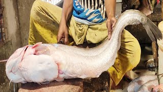 Giant Wallago Attu Catfish Cutting In Fish Market  Fish Cutting Skill Bangladesh [upl. by Pauly217]