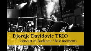 Djordje Davidovic TRIO  Concert at FONO Budapest HUN  Best moments [upl. by Aleirbag]