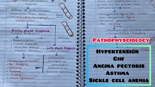 Important Pathophysciology For ExamPathogenesis Of HypertensionCHFAsthmaSickle Cell Anemia [upl. by Akeimahs336]