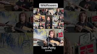 Wildflowers  Tom Petty cover pt2 tompetty tompettyandtheheartbreakers music cover coversong [upl. by Nyledaj]