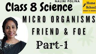 Harmful Microorganisms Class 8 Science  Microorganisms Friend and Foe Concepts  BYJUS  Class 8 [upl. by Merriman905]