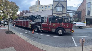 HFDHPDWCSO And More At The Mummers Parade [upl. by Eerehs]