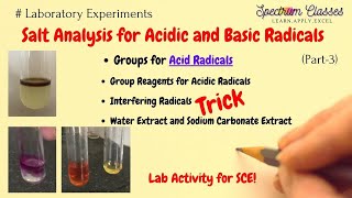 Acidic Radicals their groups and group reagents  Trick and Lab Activity12 BSc MSc JEE [upl. by Teillo230]