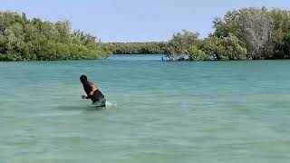 Aboriginal man spearing fish 🐟 [upl. by Olinad]