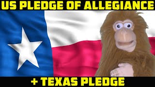 US and Texas Pledge of Allegiance for children preschool and kindergarten [upl. by Aicak]