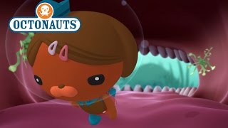 Octonauts The Cave with Teeth [upl. by Avihs]