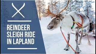 Reindeer Sleigh Rides on Lapland holidays  Iglu Ski [upl. by Dustie253]