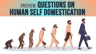 Preview Questions on Human Self Domestication [upl. by Casavant]