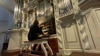 Martin Sturm  Improvisations  Trost Organ Waltershausen [upl. by Ytisahcal590]