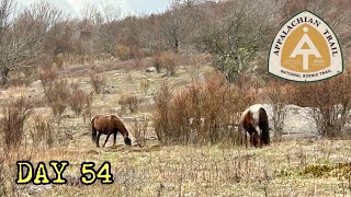 Day 54  to Scales Grayson Highlands [upl. by Neeham448]