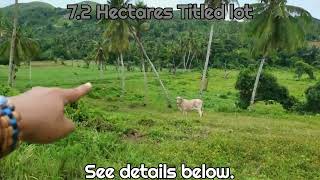 flat titled lot  farm Agricultural lot in Cebu South Philippines [upl. by Pilihp702]