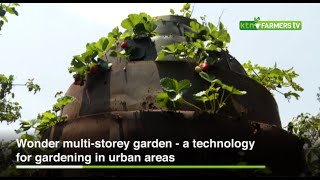 Wonder multi storey garden  a technology for gardening in urban areas [upl. by Bluefarb]