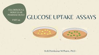 Glucose uptake assay  CBMP  Part 44 [upl. by Flanders]