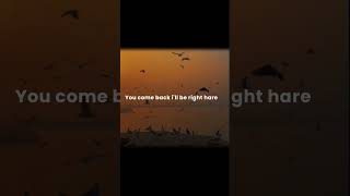 lana del rey say yes to heaven song status shorts youtubeshorts lyrics [upl. by Yrojram]