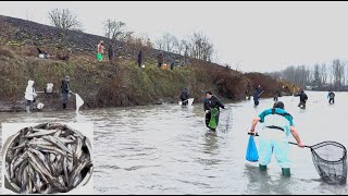 Smelt DippingNetting Accomplished Cowlitz River February 15 2024 Hopefully open one more day [upl. by Ailehc]