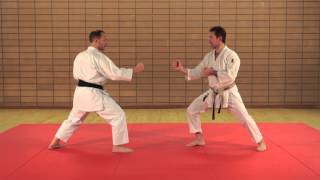 KARATÉ EXPERT  PASSAGE DE GRADES  Ippon Kumite  2e dan  niveau avancé  avec Eric Delannoy [upl. by Kahcztiy]