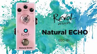 【RevoL effects】Natural ECHO EEC01 エフェクター [upl. by Aivatnahs]