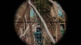 12323 Scopecam  Polarstar Kythera  Specna Arms Edge E15 NPF Bassetts Pole Adventure Park Pt 9 [upl. by Akitan]