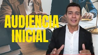 Audiencia Inicial del Articulo 372 Código General del Proceso  Paso a Paso [upl. by Amsirak]