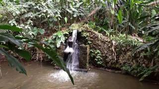 PARQUE NATURAL JARDIN BOTANICO EN FLORIDABLANCA SANTANDER [upl. by Glorianna]