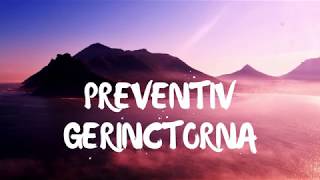 Preventív Gerinctorna 38 perc [upl. by Ynnot]