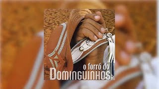 Dominguinhos  quotEu Só Quero Um Xodóquot O Forró do Dominguinhos2003 [upl. by Elleirda]