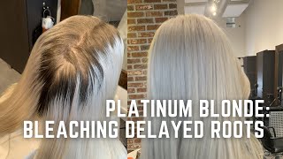 White blonde transformation How to bleach long roots safely to platinum [upl. by Vidovik883]