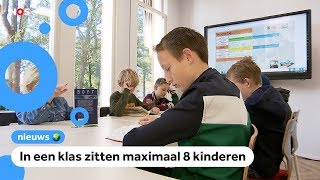 Steeds meer kinderen gaan naar dure particuliere scholen [upl. by Seuqirdor]