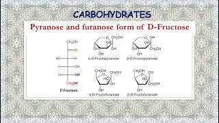 Pyranose and furanose form of DFructose [upl. by Aihsakal]