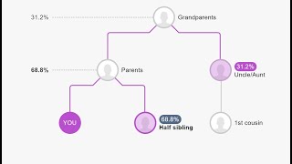 Newest MyHeritage DNA Tool is NOT Something to Miss [upl. by Tnemelc]