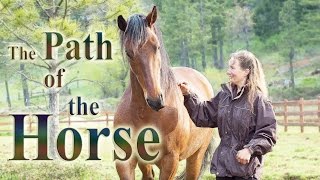 The Path of the Horse  Full Length documentary [upl. by Basset]