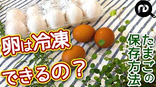 たまごの賞味期限と保存方法 卵の冷凍はできる？！ NDKitchen Basic [upl. by Guillermo]