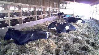 The 5 Minute Tour of Hastings Dairy [upl. by Accem]