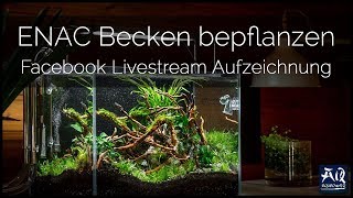 Bepflanzung meines Wettbewerbsaquariums  AquaOwner Live [upl. by Langan530]