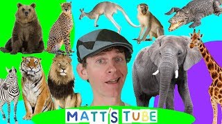 Wild Animals  Matts Tube 1  Learning Wild and Zoo Animals for Kids [upl. by Fernas]