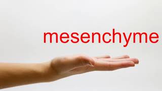 How to Pronounce mesenchyme  American English [upl. by Joy]