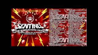 Sentinel  Dancehall Mixes Vol 20  Diamonds Conscious Selection Mix CD 2010 Preview [upl. by Nnav791]