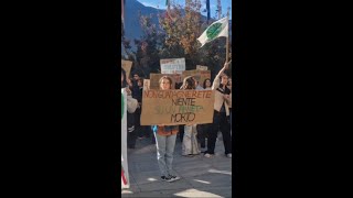 AMBIENTE il grido dei giovani di FRIDAYS FOR FUTURE quotNon esiste un pianeta Bquot [upl. by Henka]