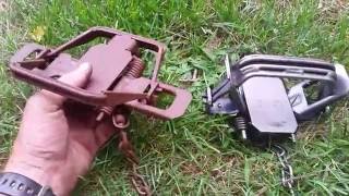 Bridger 2 Dogless 4 Coiled Fully Modified Traps Review [upl. by Horatio]