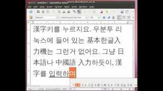 우분투 리눅스에서 한자漢字 입력하는 영상  한자키가 필요 없어요 IME for type Hanja 국한문혼용 [upl. by Tolland]