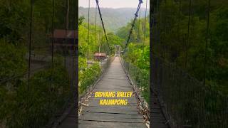 shorts vlog darjeelingghoom bidyang travel nature river bridge hangingbridge viralvideo [upl. by Broder]