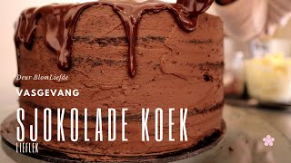 Sjokolade Koek  Lieflek [upl. by Alimrahs693]