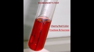 Seliwanoffs Test test for ketose sugar  fructose and sucrose [upl. by Annwahs]