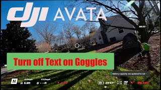 How to remove text from DJI AVATA Goggles  Turn off camera view in DJI goggles [upl. by Nayarb]