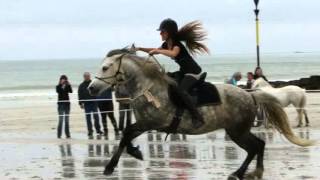 Bande annonce 4ème rendezvous équestre du Treustel [upl. by Dronski300]