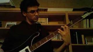 Portrait of Tracy  Jaco Pastorius  Bass Cover solo [upl. by Seale]